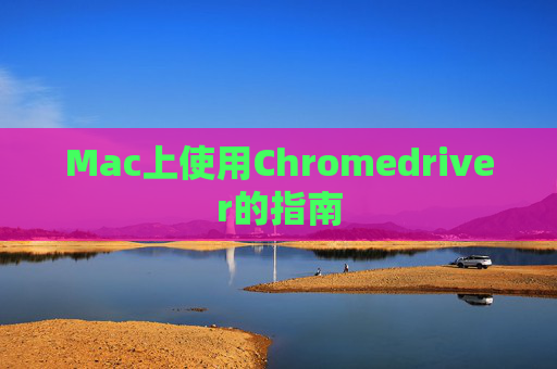 Mac上使用Chromedriver的指南